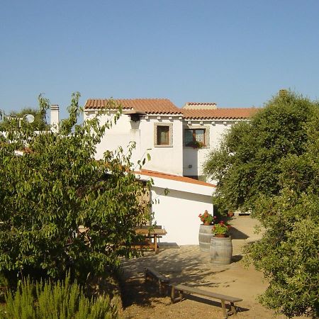 Agriturismo Vermentino Monti Extérieur photo
