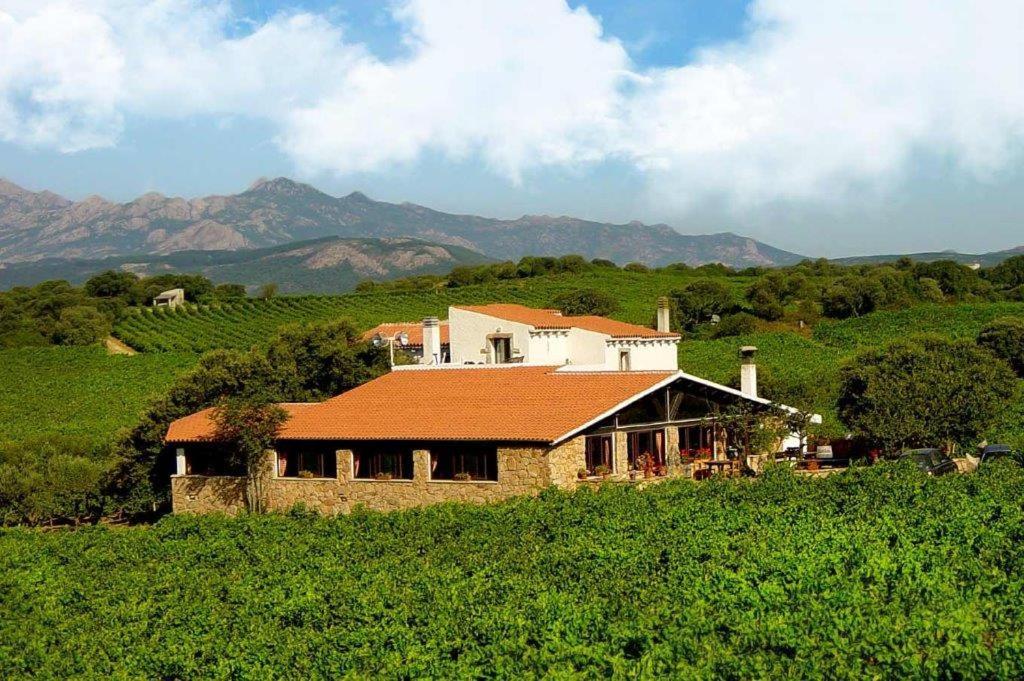 Agriturismo Vermentino Monti Extérieur photo