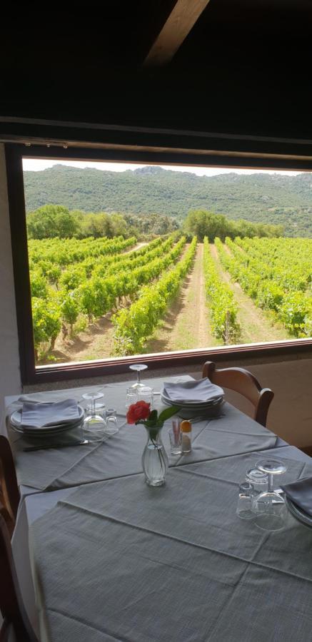 Agriturismo Vermentino Monti Extérieur photo
