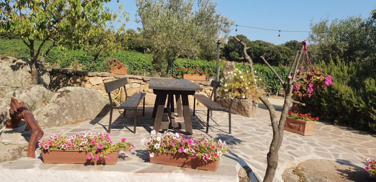 Agriturismo Vermentino Monti Extérieur photo