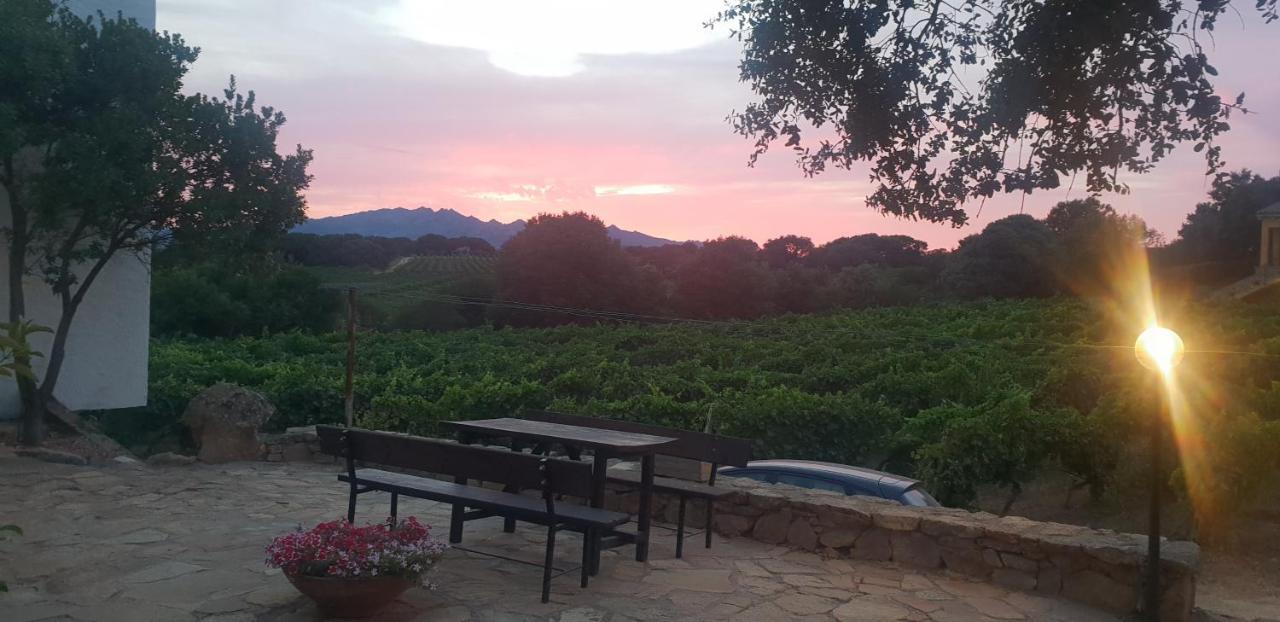 Agriturismo Vermentino Monti Extérieur photo